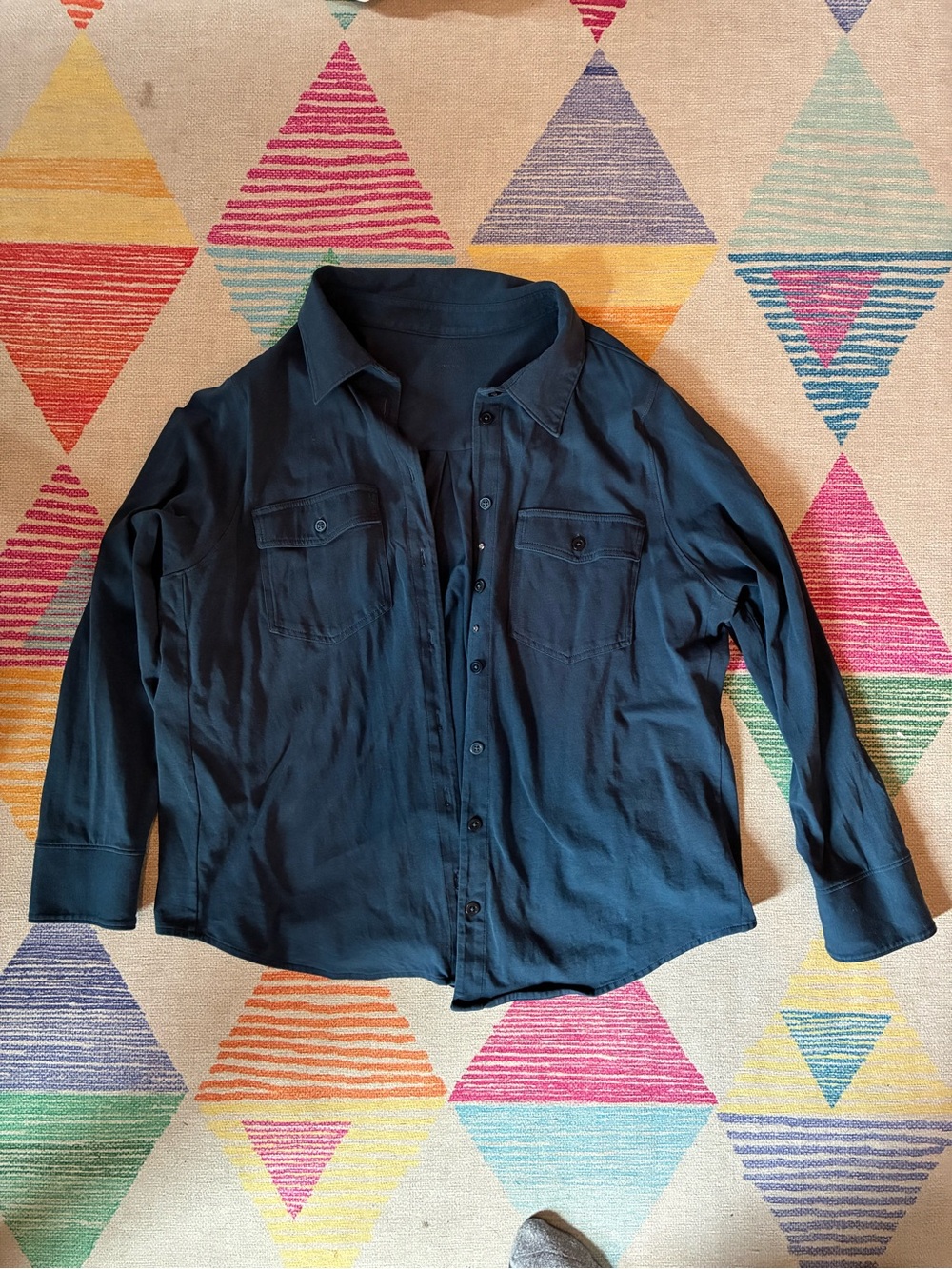 Universal Standard Blue Button Down